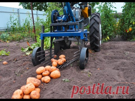 Уборка картофеля 2017.  Часть 1. Модернизация картофелекопалки с мотоблоком Нева