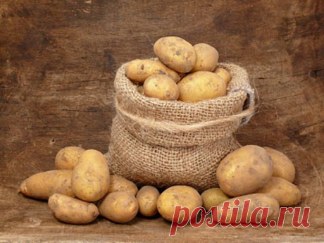Все о картофеле-различные методики и способы