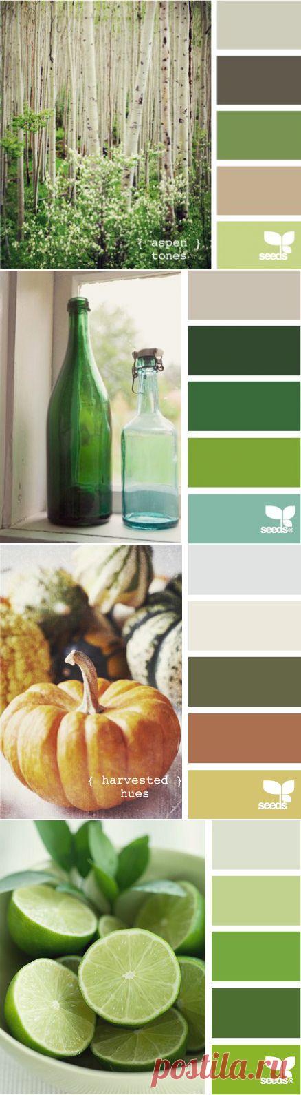 гармония цвета - Самое интересное в блогах