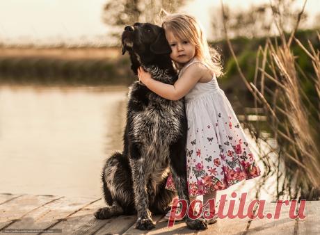 610657_devochka_sobaka_ps_druzya_2560x1882_www.Gde-Fon.com.jpg (1600×1176)