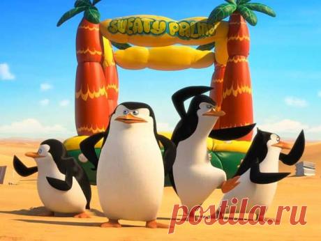 Как нарисовать пингвинов из Мадагаскара
