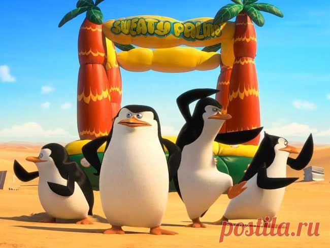 Как нарисовать пингвинов из Мадагаскара