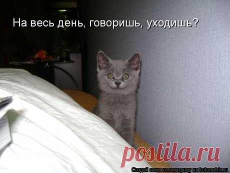 Мысли вслух