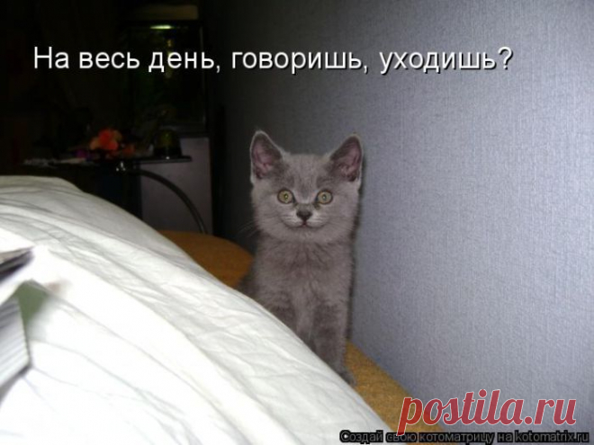 Мысли вслух