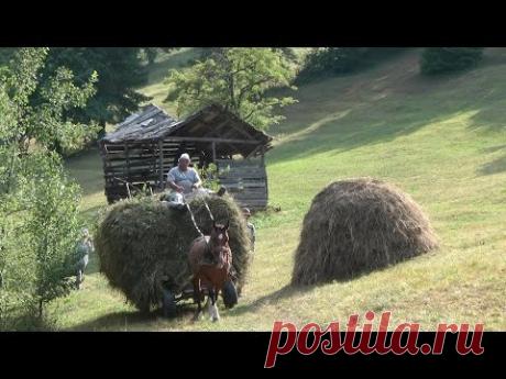 Romania, Transylvania Hay Camp 2015 Part 3