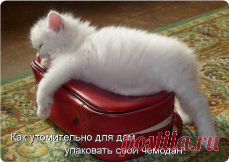 Устала:)