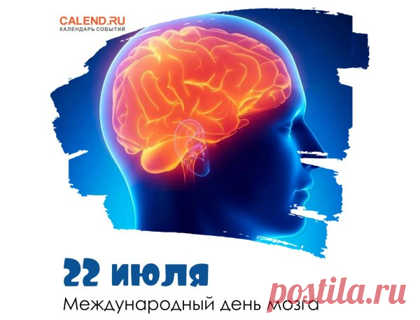 Наш мозг на столько изловчился,
Что всё сумел в себя впитать,
И так в природе обновился,
Что даже Богу стал под стать.