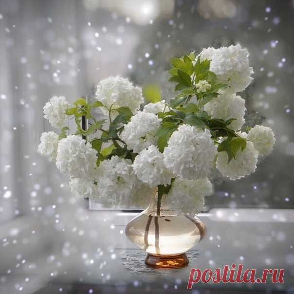 КАКОЙ СЕГОДНЯ ПРАЗДНИК? 29 Января 2020 г. – Среда • День необязательств • День неспешного заплетания кос • День первооткрывателя в России200 лет • День поклонения честным веригам святого апостола Петра • День мобилизации против угрозы ядерной войны35 лет • День необязательств • День неспешного заплетания кос • День первооткрывателя в России200 лет • День поклонения честным веригам святого апостола Петра • День мобилизации против угрозы ядерной войны35 лет • День мучеников (Martyr`s Day) -…