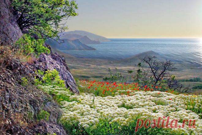 Весенний Крым