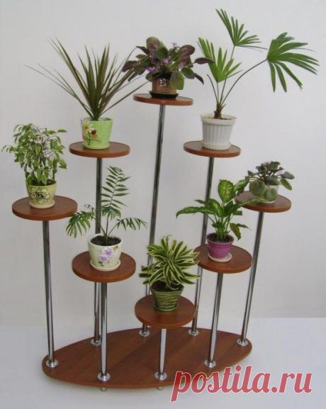 Как с помощью комнатных растений украсить дом