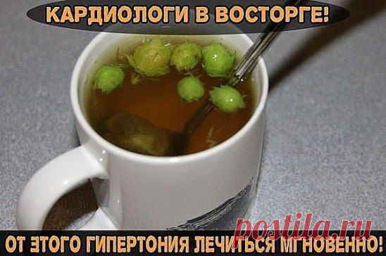 (48) Одноклассники....Отвар семечек от гипертонии!!!