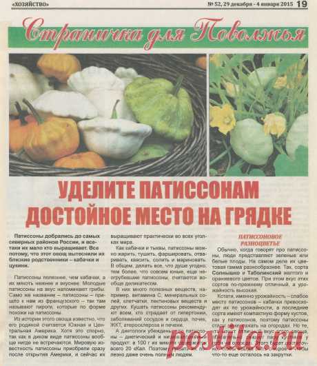 Уделите патиссонам достойное место на грядке