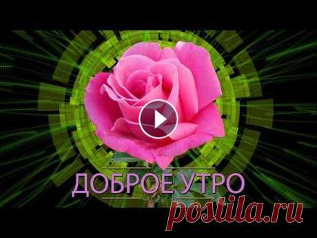 ✅Доброе утро✅ Анимационная открытка 4К ✅Доброе утро✅Анимационная открытка 4К *** Благодарю за подписку, лайки, комментарии! *** ДВЕ ДУШИ: Наталья_Топчий: Наталья Топчий: MELOCAKES: BEST REL...