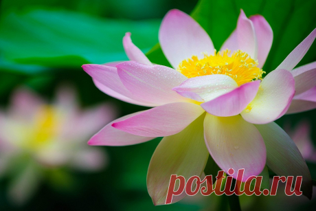 Редактировать описание