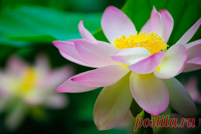 Редактировать описание