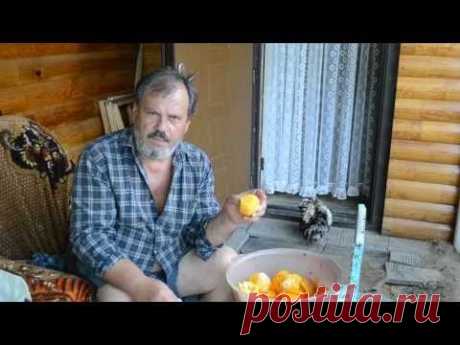 ▶ Фруктовая брага Часть 10 Апельсины - YouTube
