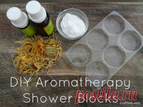 DIY Aromatherapy Shower Blocks — craftbits.com