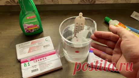 БЮДЖЕТНЫЙ ТОНИК для орхидей в ДОМАШНИХ условиях на корни орхидеи и листья КАК СДЕЛАТЬ за 150 рублей ДЕСЯТЬ ЛИТРОВ СУПЕР ТОНИКА для ОРХИДЕЙ в домашних условиях?! Витамины + Янтарная кислота! ✅Мой ( #ГеоргийГорячевский ) второй канал...