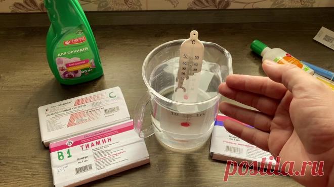 БЮДЖЕТНЫЙ ТОНИК для орхидей в ДОМАШНИХ условиях на корни орхидеи и листья КАК СДЕЛАТЬ за 150 рублей ДЕСЯТЬ ЛИТРОВ СУПЕР ТОНИКА для ОРХИДЕЙ в домашних условиях?! Витамины + Янтарная кислота! ✅Мой ( #ГеоргийГорячевский ) второй канал...