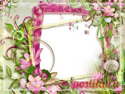 Nature, summer, photo frame. Transparent PNG Frame, PSD Layered Photo frame template, Download.