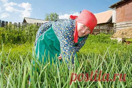 Дачный участок