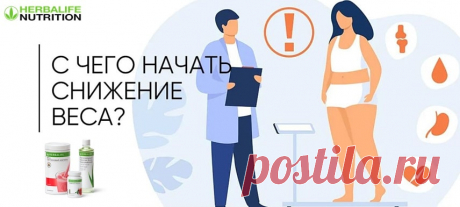 С чего начать похудение? С правильно подобранной программы и меню. | Herbal отзывы