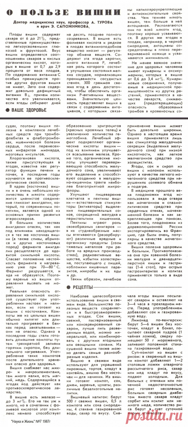 О пользе вишни
