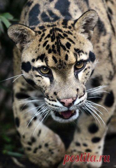 Pictures of the week