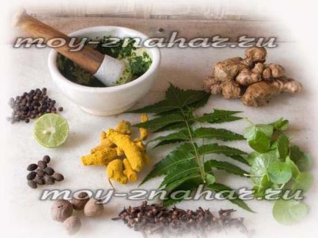 Травы, разжижающие кровь и укрепляющие стенки сосудов