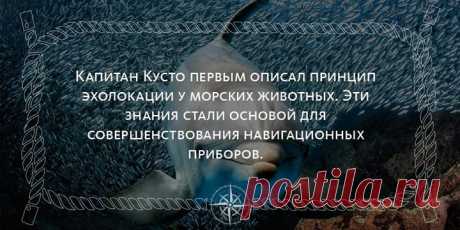 Первопроходец. Мечтатель. Бунтарь. Легендарный Жак-Ив Кусто: его корабль, его открытия, его настоящая Одиссея.