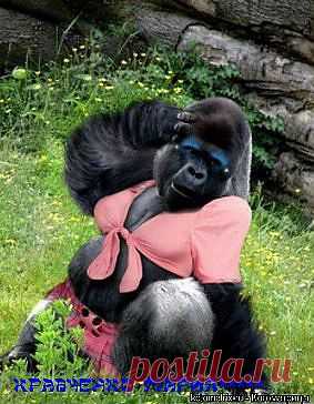 Я КрасоткО!!!