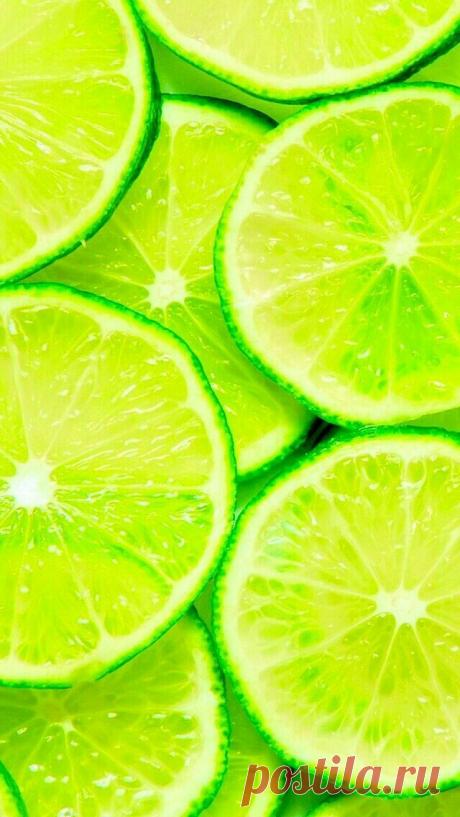 Foliage, leaves, ferns, greenery, undergrowth, overgrown, botanical,