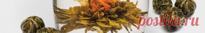Виды чая и их свойства - Чай.ru