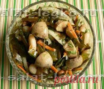 Салат с морской капустой и грибами.