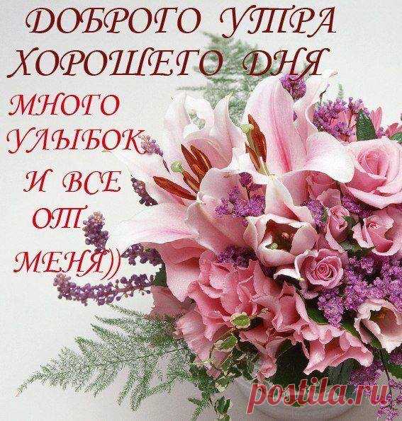 Каждое утро есть выбор… Либо спать дальше и видеть сны, либо вставать и воплощать эти сны в реальность.
Доброе утро! Просыпайтесь и следуйте за мечтой!
Доброго утра вам, друзья!
Проснулась я сегодня вся!
И новый день будил меня не долго,
Он приобнял меня и только!
Спасибо, день, спасибо, друг!
Какое счастье видеть мир вокруг!
Сказать 