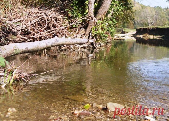 Октябрь 2008, Окрестности Горячего Ключа - 2 Сентября 2015 - Персональный сайт