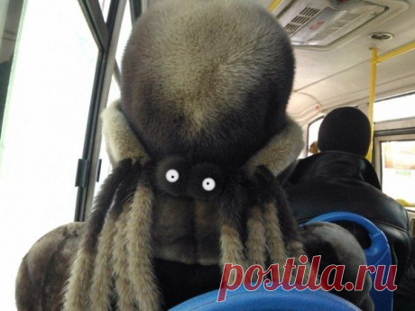 Задремал в автобусе. Проснулся -  чуть не поседел. / Занимательная реклама