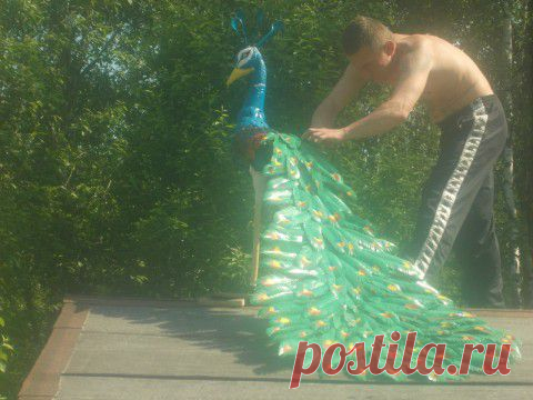 Как сделать павлина из пластиковых бутылок | Умелые ручки