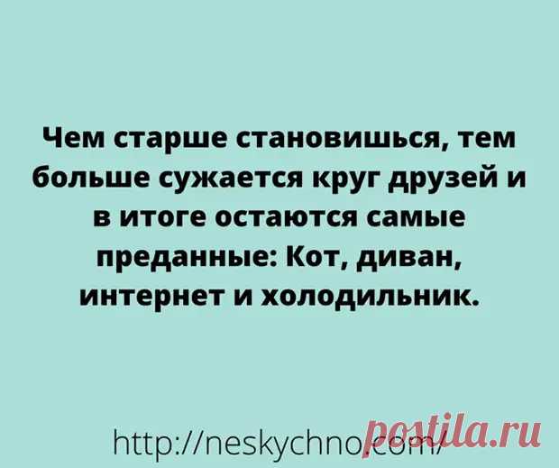 (28) Короткие смешные анекдоты, которые гарантировано поднимают настроение - Сказка для двоих - 21 февраля - 43265381676 - Медиаплатформа МирТесен