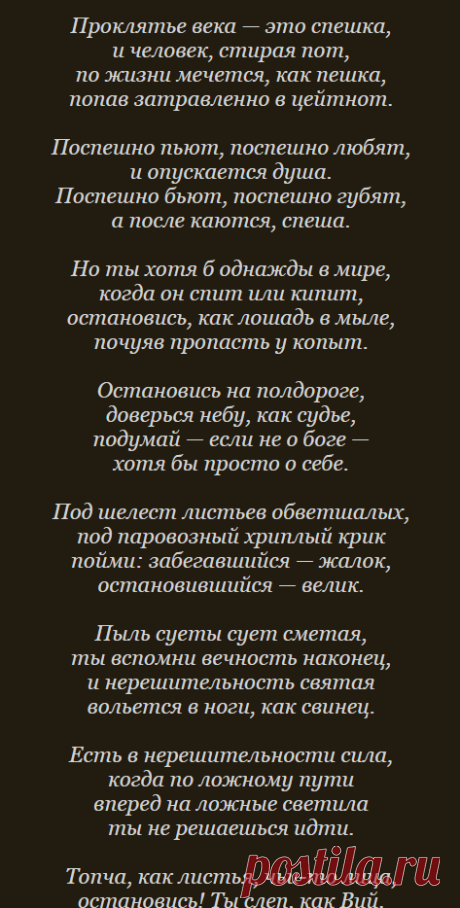 Проклятье века — это спешка