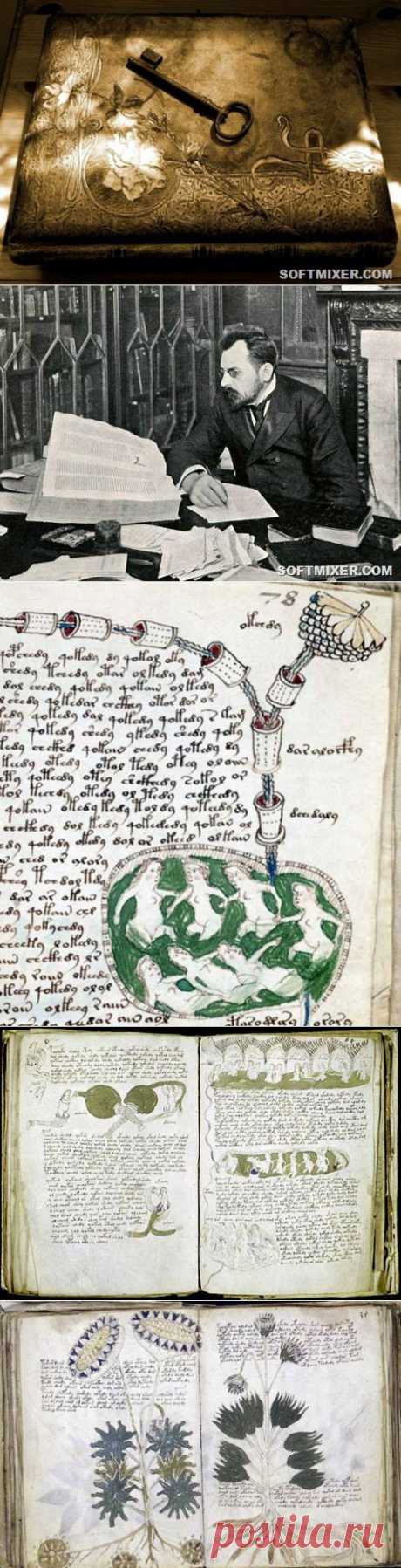 Загадки манускрипта Войнича | Любители истории