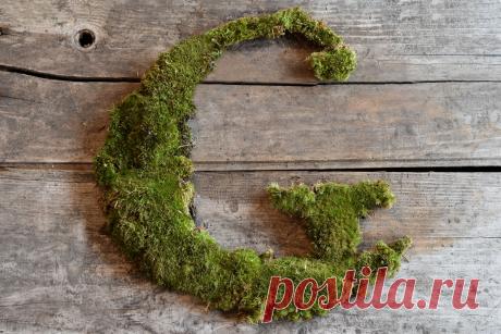 Gardening, For Punks: Getting Rebellious With Moss Graffiti - Garden Collage
To Embrace Your Inner Rebel, You Will Need:
A sample of moss (any kind)
Blender
Buttermilk or Yogurt
Water or beer
1/2 Teaspoon sugar
No need to go out and buy a spray can: you probably have everything you need for moss graffiti just sitting in your kitchen.