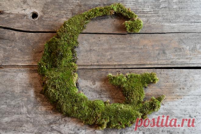 Gardening, For Punks: Getting Rebellious With Moss Graffiti - Garden Collage
To Embrace Your Inner Rebel, You Will Need:
A sample of moss (any kind)
Blender
Buttermilk or Yogurt
Water or beer
1/2 Teaspoon sugar
No need to go out and buy a spray can: you probably have everything you need for moss graffiti just sitting in your kitchen.