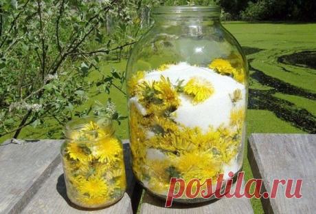 Универсальное лекарство простой одуванчик Любопытно


Травники рекомендуют его употреблять при таких заболеваниях, как атеросклероз, при воспалительных процессах в почках и печени, а также при камнях в желчном пузыре и почках,холецистите, гас…