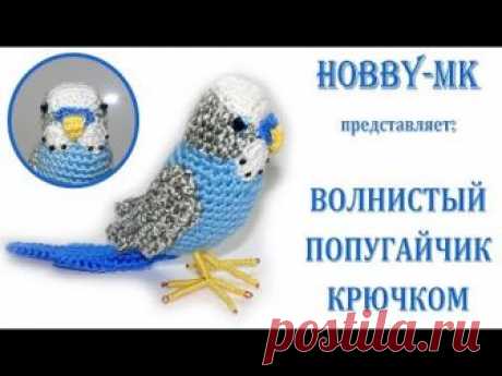 Волнистый попугайчик крючком - авторский видео МК.