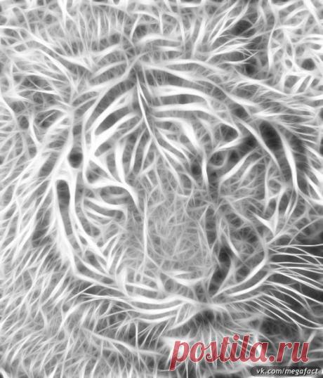 Фотографии на стене сообщества | 19 484 фотографии