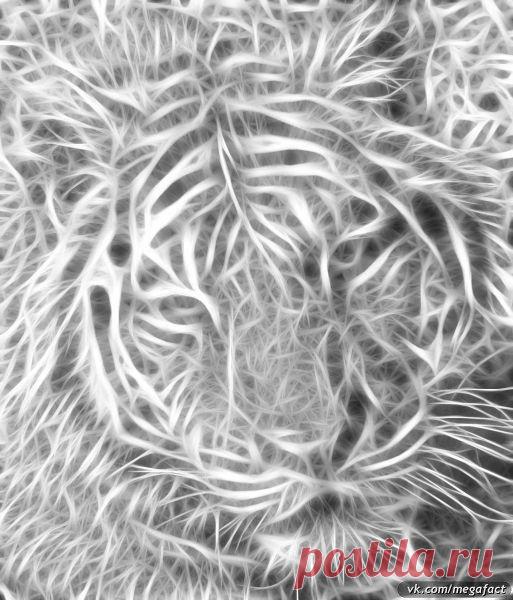 Фотографии на стене сообщества | 19 484 фотографии