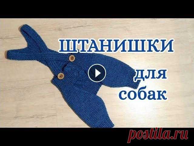 Штанишки для собак спицами, Dog pants Штанишки для собак и кошек. Для вязальщиц с опытом. Все максимально коротко. Штанишки крючком - Как снять мерки видео - Как снять мерки документ в фор...