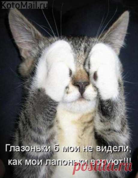 Глазоньки б не видели...