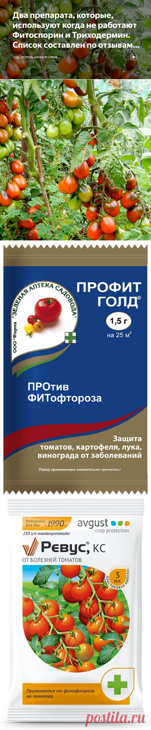 Два препарата, которые, используют когда не работают Фитоспорин и Триходермин. Список составлен по отзывам читателей канала | Сад, огород, наука и ... лень | Яндекс Дзен
